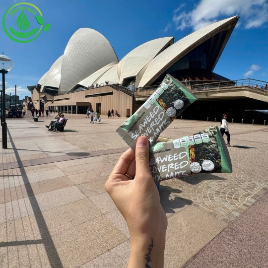 RONG BIỂN KẸP HẠT (SEAWEED COVERED MIX NUTS BAR)